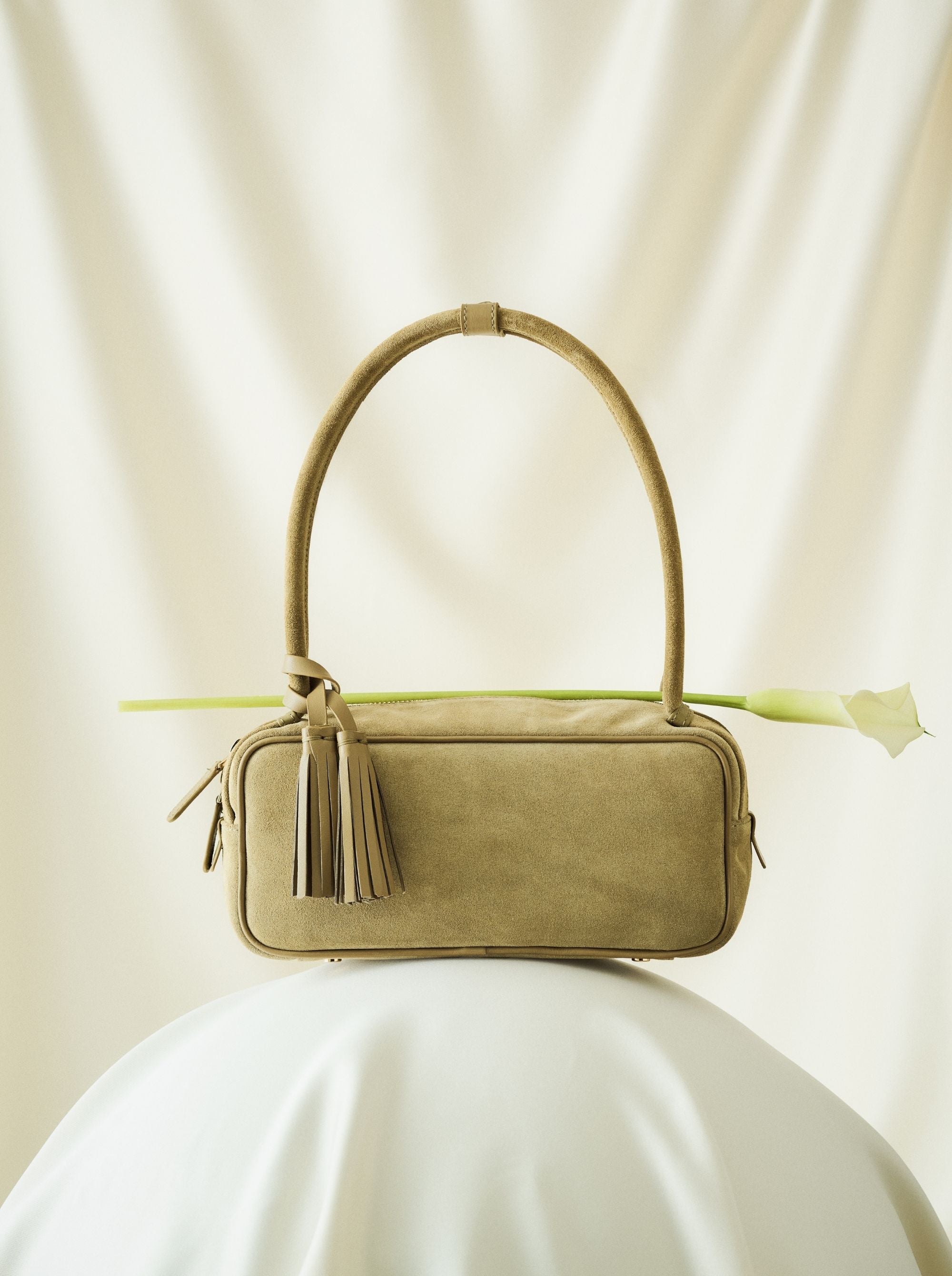 Nova OLIVE