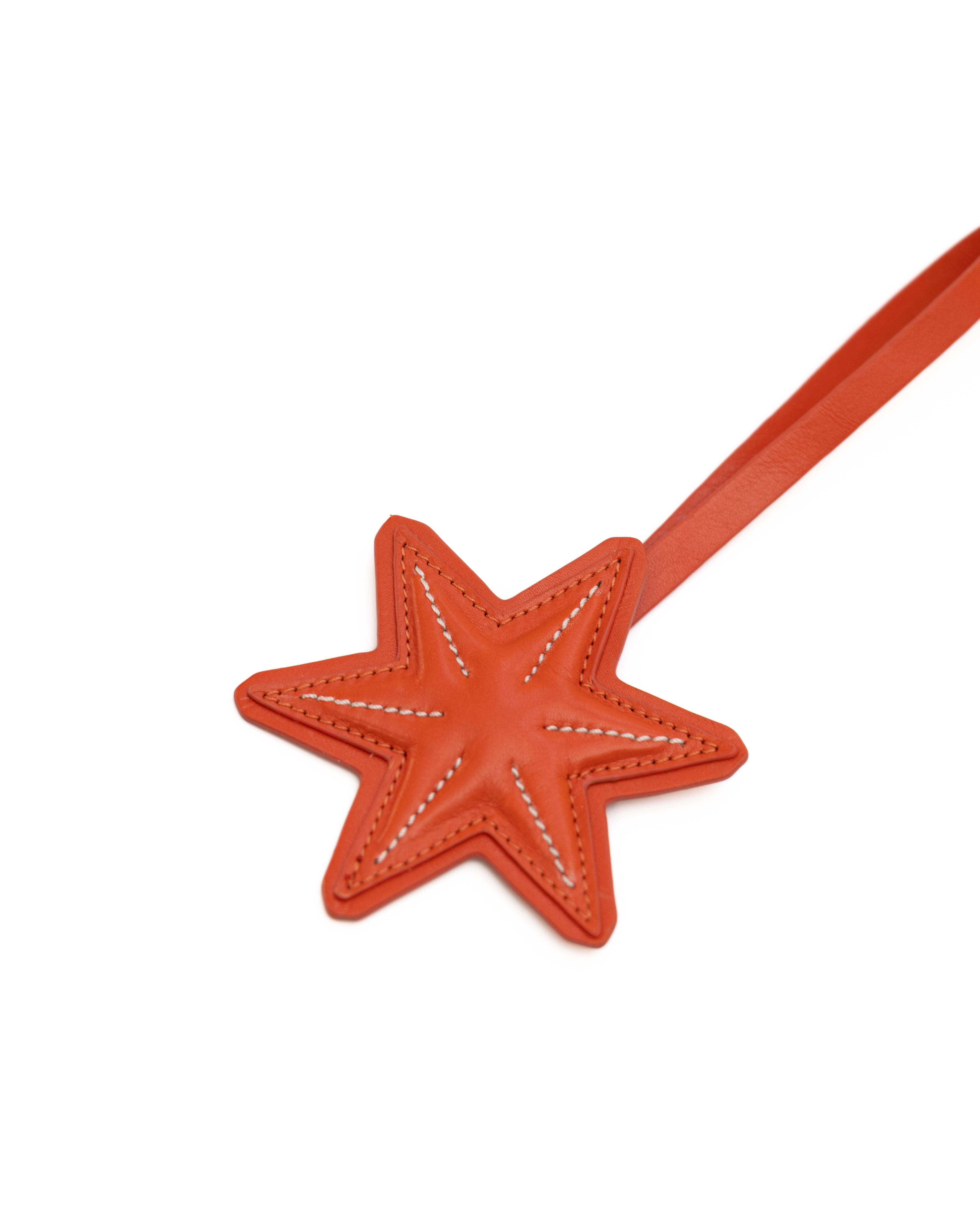 Star Charm Turuncu