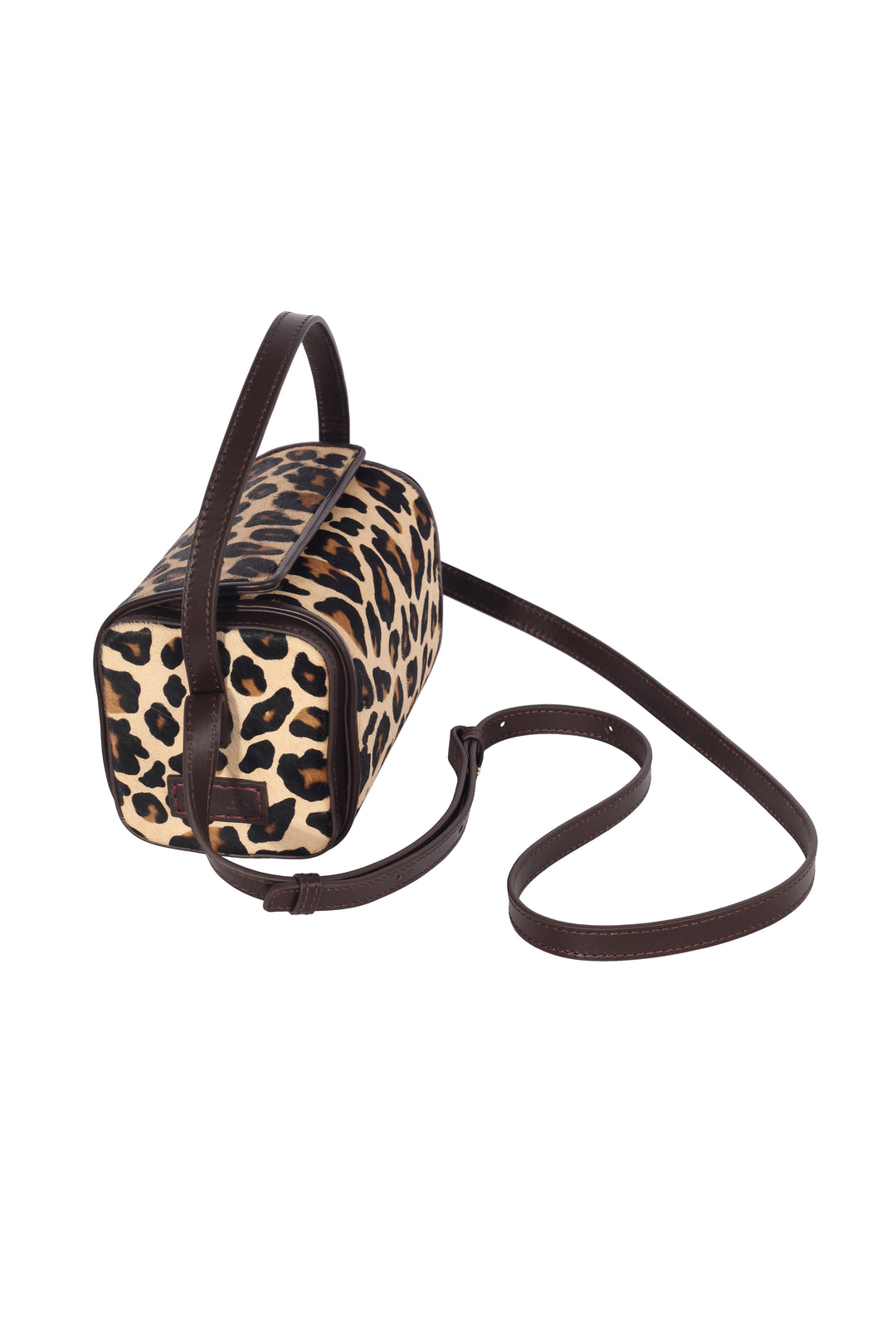 GIGI Leopard